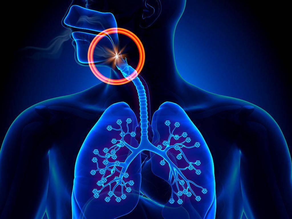 支气管镜检查的那些事儿 支气管镜检查的那些事儿