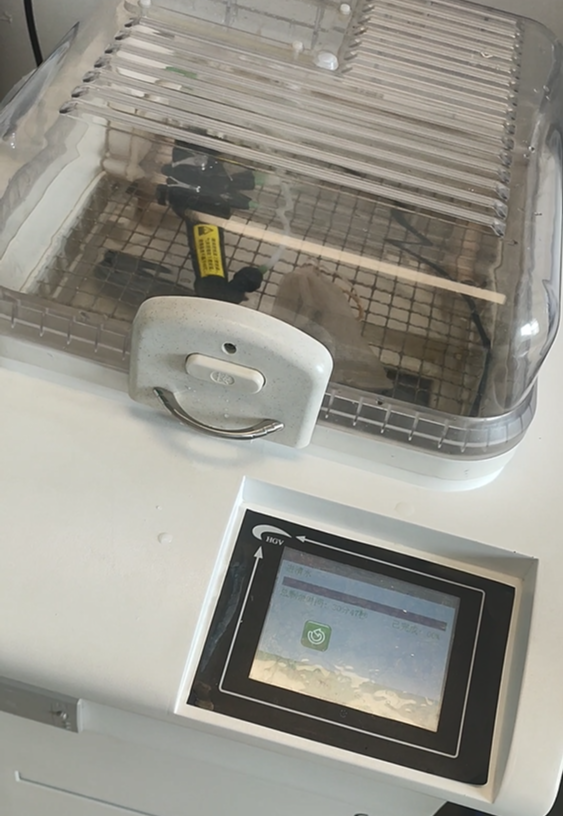 鼹鼠医疗和您聊聊:可视喉镜与电子支气管镜维护保养 鼹鼠医疗和您聊聊:可视喉镜与电子支气管镜维护保养