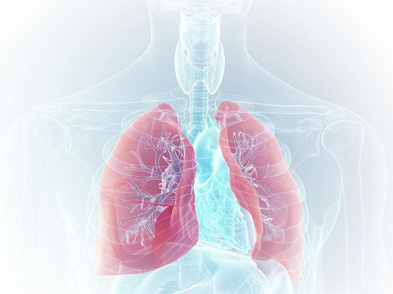 从传统到现代:可视喉镜在呼吸道疾病诊断中的重要作用 从传统到现代:可视喉镜在呼吸道疾病诊断中的重要作用