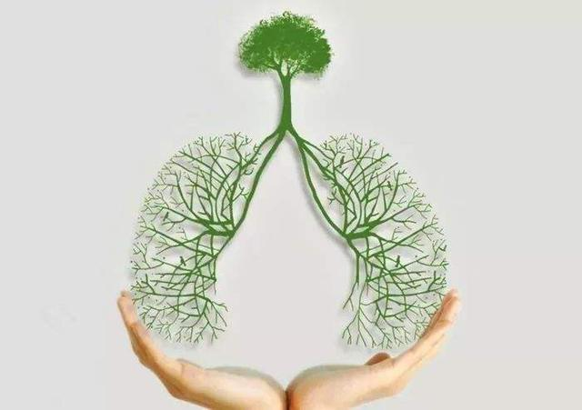 支气管镜厂家带您了解电子支气管镜在重症救治的应用.png 支气管镜厂家带您了解电子支气管镜在重症救治的应用.png